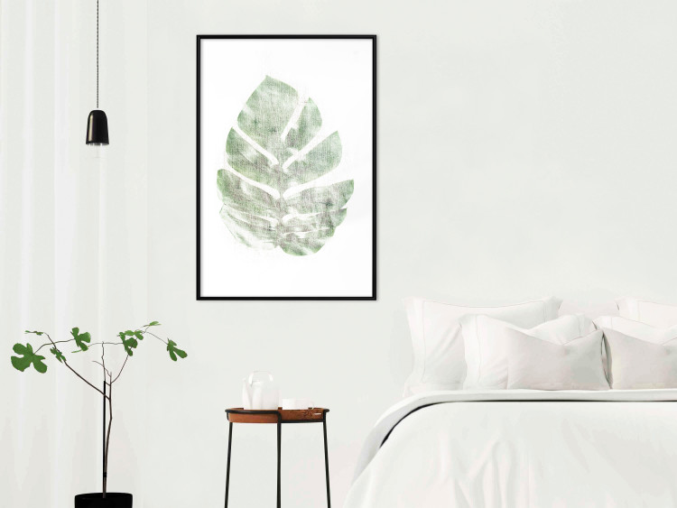 Poster Green Sketch - monstera leaf on a gently blurred white texture 126864 additionalImage 18