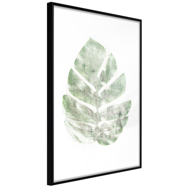 Poster Green Sketch - monstera leaf on a gently blurred white texture 126864 additionalImage 6
