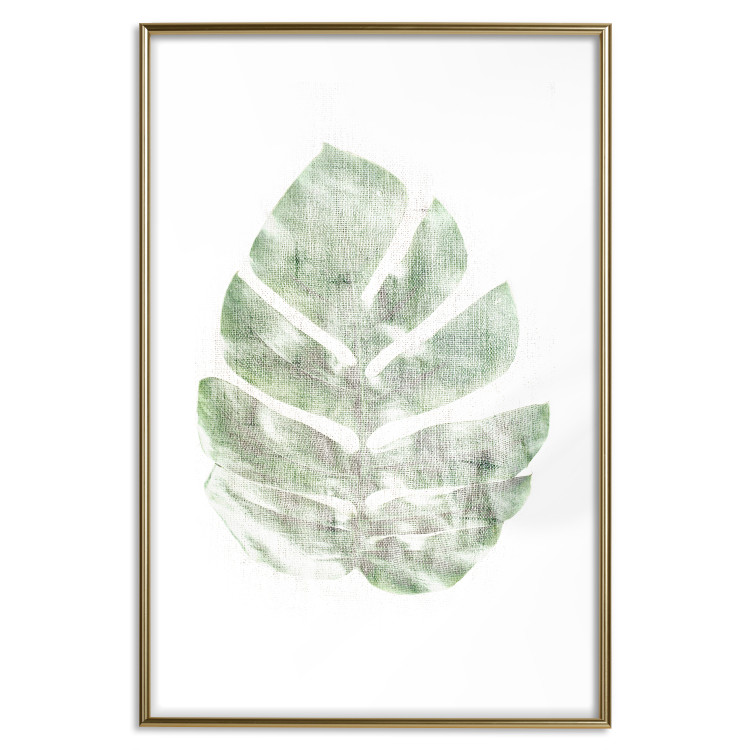 Poster Green Sketch - monstera leaf on a gently blurred white texture 126864 additionalImage 14