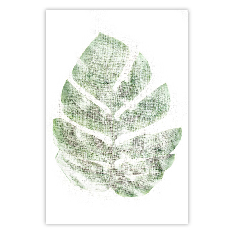 Poster Green Sketch - monstera leaf on a gently blurred white texture 126864