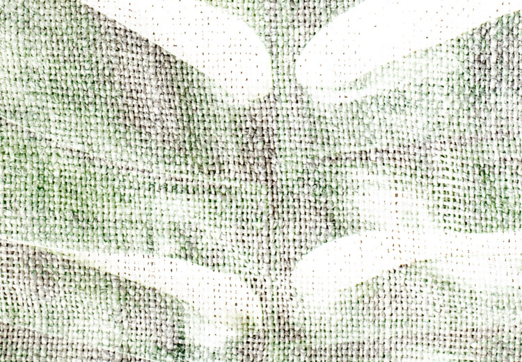 Poster Green Sketch - monstera leaf on a gently blurred white texture 126864 additionalImage 9