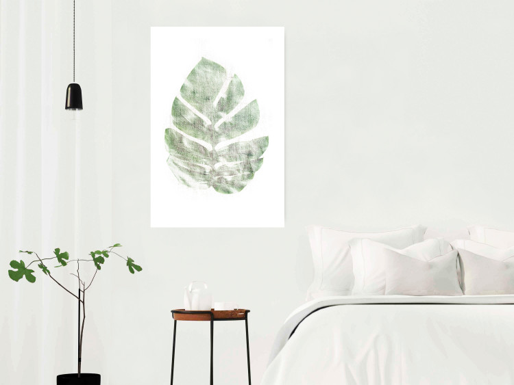 Poster Green Sketch - monstera leaf on a gently blurred white texture 126864 additionalImage 3