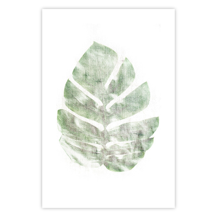 Poster Green Sketch - monstera leaf on a gently blurred white texture 126864 additionalImage 19