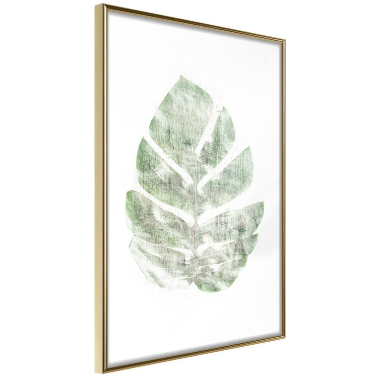 Poster Green Sketch - monstera leaf on a gently blurred white texture 126864 additionalImage 7