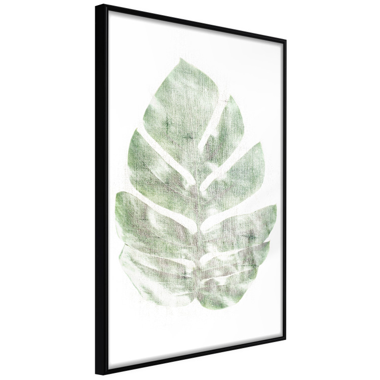 Poster Green Sketch - monstera leaf on a gently blurred white texture 126864 additionalImage 11