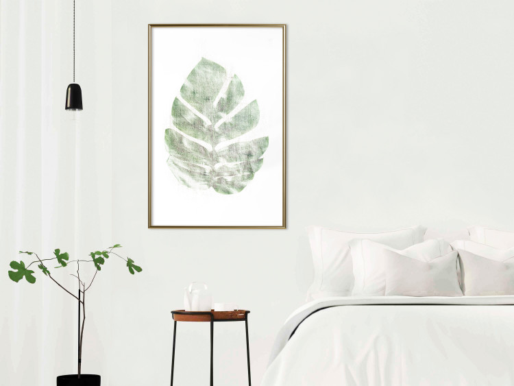 Poster Green Sketch - monstera leaf on a gently blurred white texture 126864 additionalImage 13