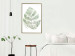Poster Green Sketch - monstera leaf on a gently blurred white texture 126864 additionalThumb 5