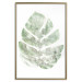 Poster Green Sketch - monstera leaf on a gently blurred white texture 126864 additionalThumb 17