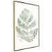 Poster Green Sketch - monstera leaf on a gently blurred white texture 126864 additionalThumb 12