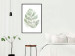Poster Green Sketch - monstera leaf on a gently blurred white texture 126864 additionalThumb 18