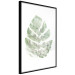 Poster Green Sketch - monstera leaf on a gently blurred white texture 126864 additionalThumb 6