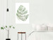 Poster Green Sketch - monstera leaf on a gently blurred white texture 126864 additionalThumb 2