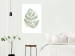 Poster Green Sketch - monstera leaf on a gently blurred white texture 126864 additionalThumb 3