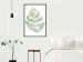 Poster Green Sketch - monstera leaf on a gently blurred white texture 126864 additionalThumb 4