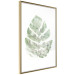 Poster Green Sketch - monstera leaf on a gently blurred white texture 126864 additionalThumb 7