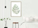 Poster Green Sketch - monstera leaf on a gently blurred white texture 126864 additionalThumb 13