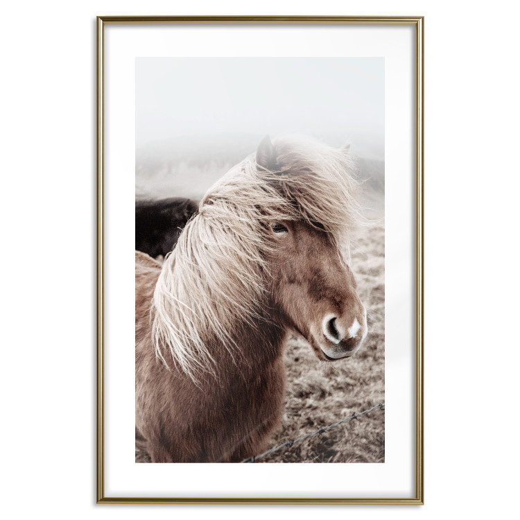 Wall Poster Against the Wind - brown horse with mane against a field backdrop and intense fog 130264 additionalImage 16