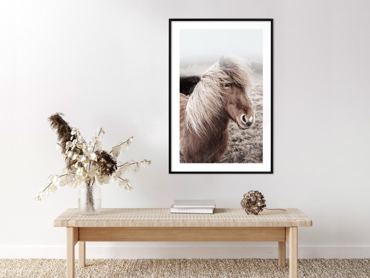 Wall Poster Against the Wind - brown horse with mane against a field backdrop and intense fog 130264 additionalImage 19