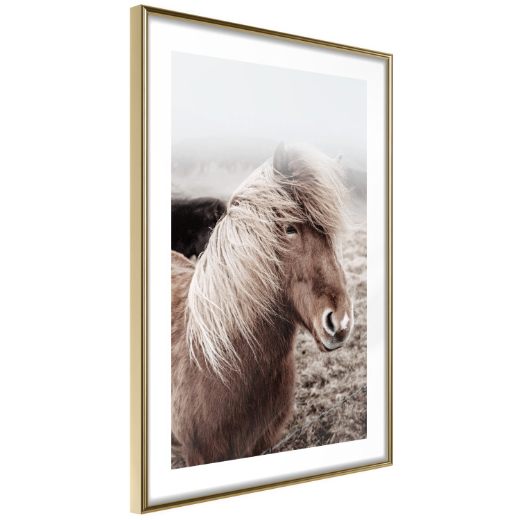 Wall Poster Against the Wind - brown horse with mane against a field backdrop and intense fog 130264 additionalImage 7