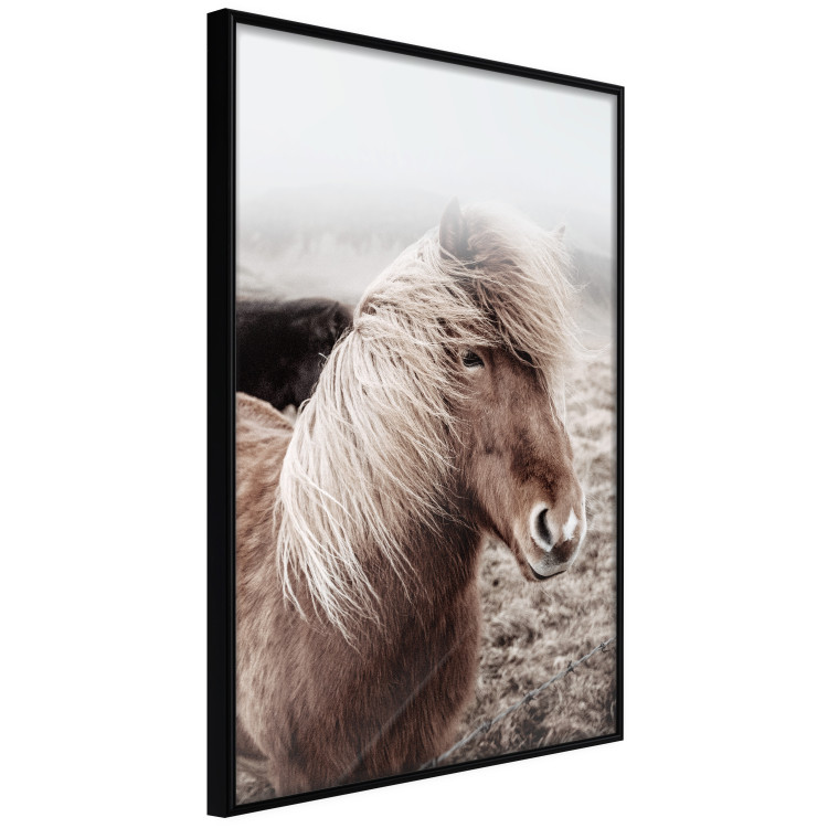 Wall Poster Against the Wind - brown horse with mane against a field backdrop and intense fog 130264 additionalImage 11