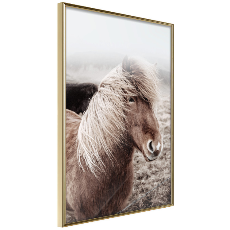 Wall Poster Against the Wind - brown horse with mane against a field backdrop and intense fog 130264 additionalImage 12