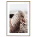 Wall Poster Against the Wind - brown horse with mane against a field backdrop and intense fog 130264 additionalThumb 16