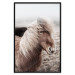 Wall Poster Against the Wind - brown horse with mane against a field backdrop and intense fog 130264 additionalThumb 14