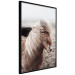 Wall Poster Against the Wind - brown horse with mane against a field backdrop and intense fog 130264 additionalThumb 11