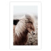 Wall Poster Against the Wind - brown horse with mane against a field backdrop and intense fog 130264 additionalThumb 18