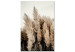 Canvas Dreamy Feather (1-piece) Vertical - autumn landscape of forest nature 130464
