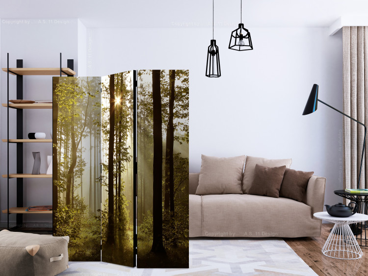 Folding Screen Forest: Morning Sun (3-piece) - sun rays among trees 132764 additionalImage 4