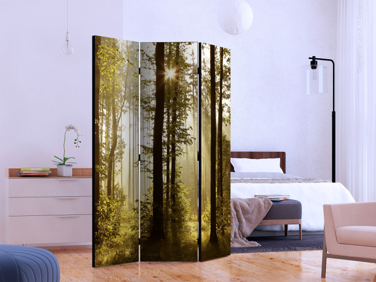 Folding Screen Forest: Morning Sun (3-piece) - sun rays among trees 132764 additionalImage 2