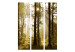 Folding Screen Forest: Morning Sun (3-piece) - sun rays among trees 132764 additionalThumb 3