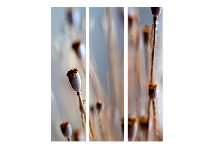 Folding Screen Poppy Heads - thin plant with buds on a blurred background 133964 additionalImage 3