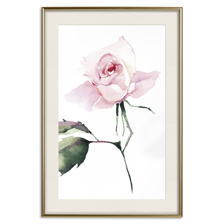 Poster Lonely Rose - natural composition of a pink plant on a white background 135764 additionalImage 27
