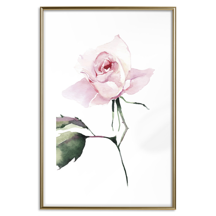 Poster Lonely Rose - natural composition of a pink plant on a white background 135764 additionalImage 8