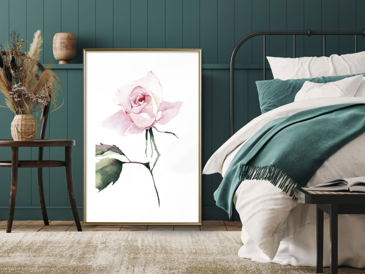 Poster Lonely Rose - natural composition of a pink plant on a white background 135764 additionalImage 16