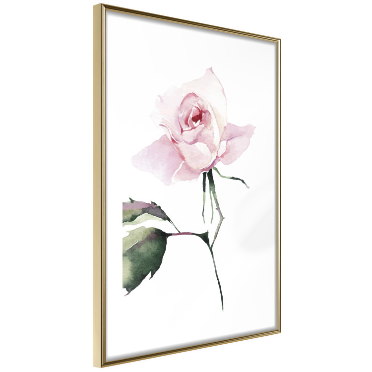 Poster Lonely Rose - natural composition of a pink plant on a white background 135764 additionalImage 24