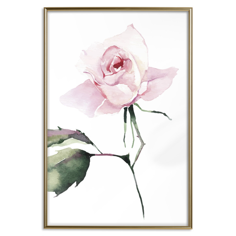 Poster Lonely Rose - natural composition of a pink plant on a white background 135764 additionalImage 8