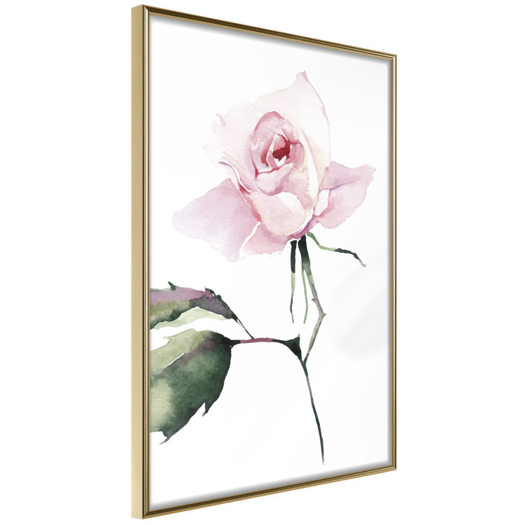 Poster Lonely Rose - natural composition of a pink plant on a white background 135764 additionalImage 18