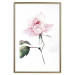 Poster Lonely Rose - natural composition of a pink plant on a white background 135764 additionalThumb 8