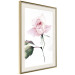 Poster Lonely Rose - natural composition of a pink plant on a white background 135764 additionalThumb 26