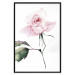 Poster Lonely Rose - natural composition of a pink plant on a white background 135764 additionalThumb 5