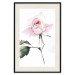 Poster Lonely Rose - natural composition of a pink plant on a white background 135764 additionalThumb 11