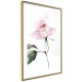 Poster Lonely Rose - natural composition of a pink plant on a white background 135764 additionalThumb 24
