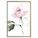Poster Lonely Rose - natural composition of a pink plant on a white background 135764 additionalThumb 8