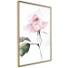 Poster Lonely Rose - natural composition of a pink plant on a white background 135764 additionalThumb 18