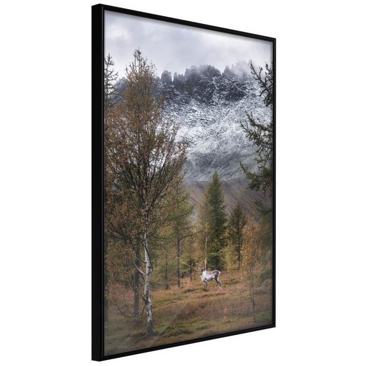 Wall Poster Autumn Guest - forest composition of an animal amidst trees against mountains 138764 additionalImage 5