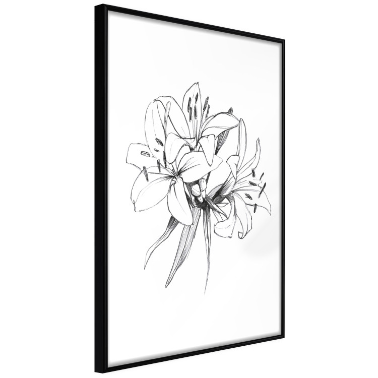 Wall Poster Drawn Flowers - black sketch of flowers on a contrasting white background 142064 additionalImage 12