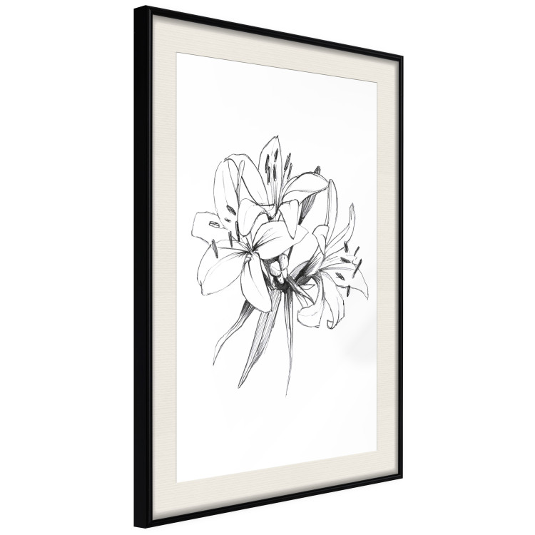 Wall Poster Drawn Flowers - black sketch of flowers on a contrasting white background 142064 additionalImage 3